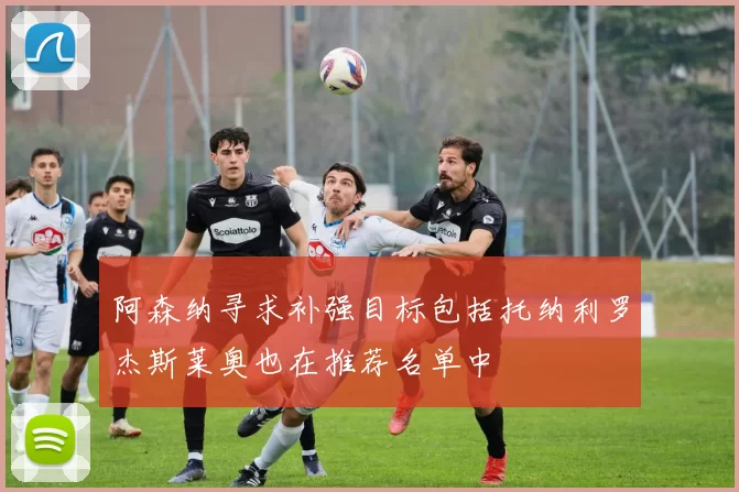 阿森纳寻求补强目标包括托纳利罗杰斯莱奥也在推荐名单中
