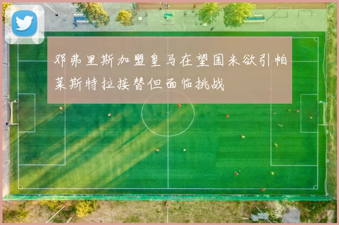 邓弗里斯加盟皇马在望国米欲引帕莱斯特拉接替但面临挑战