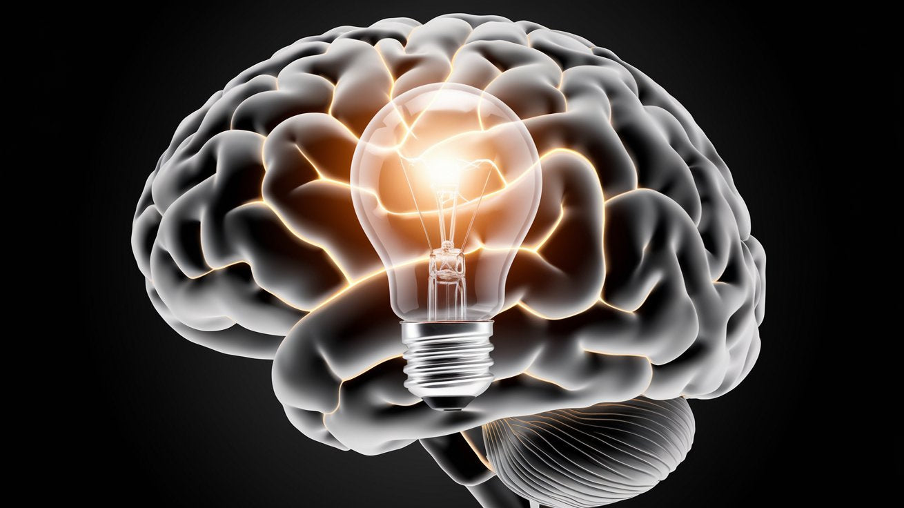 Improving Our Memory by Sleeping Better