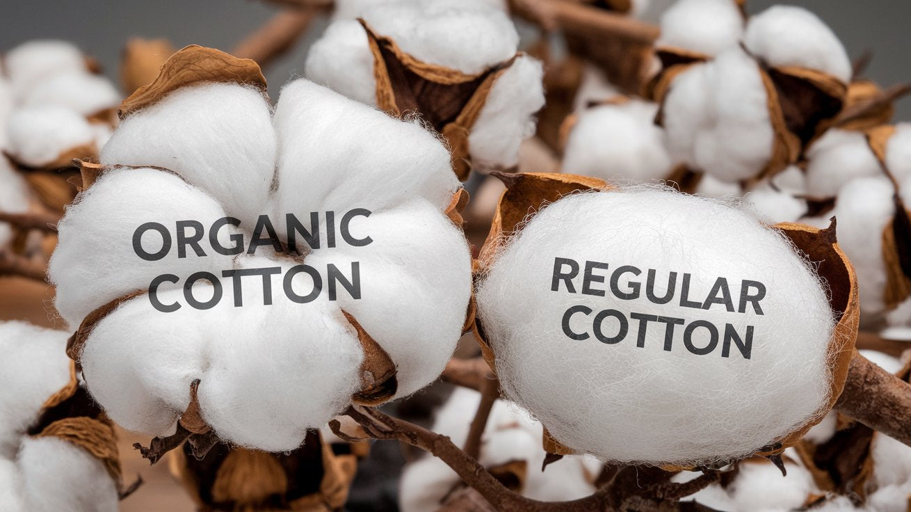 Organic Cotton vs. Regular Cotton: How Do They Differ?